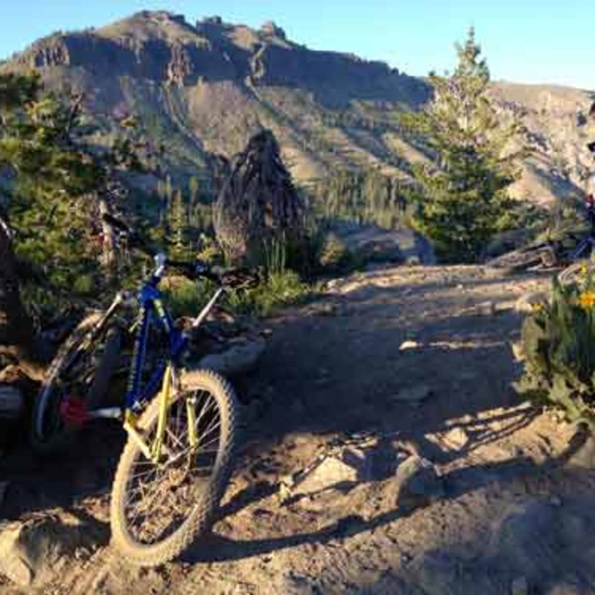 Go Biking Powder