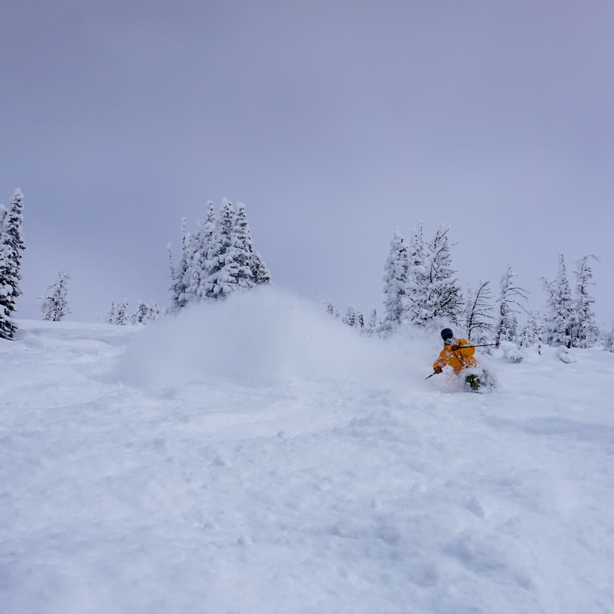 Powder Review Atomic Hawx Ultra XTD 130 BOA GW Powder