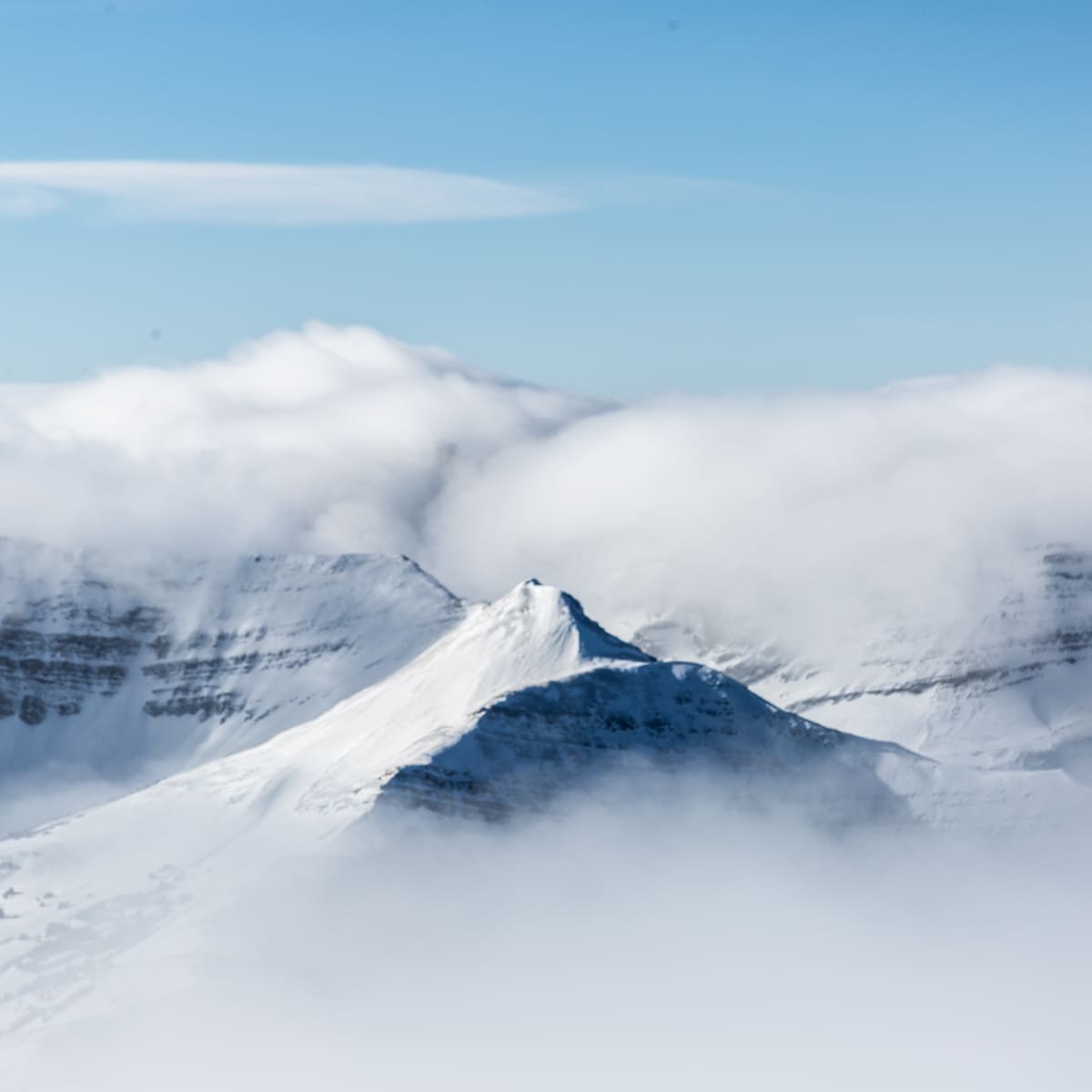 Look Pro Skier s Line Of The Year From 2014 Still Reigns