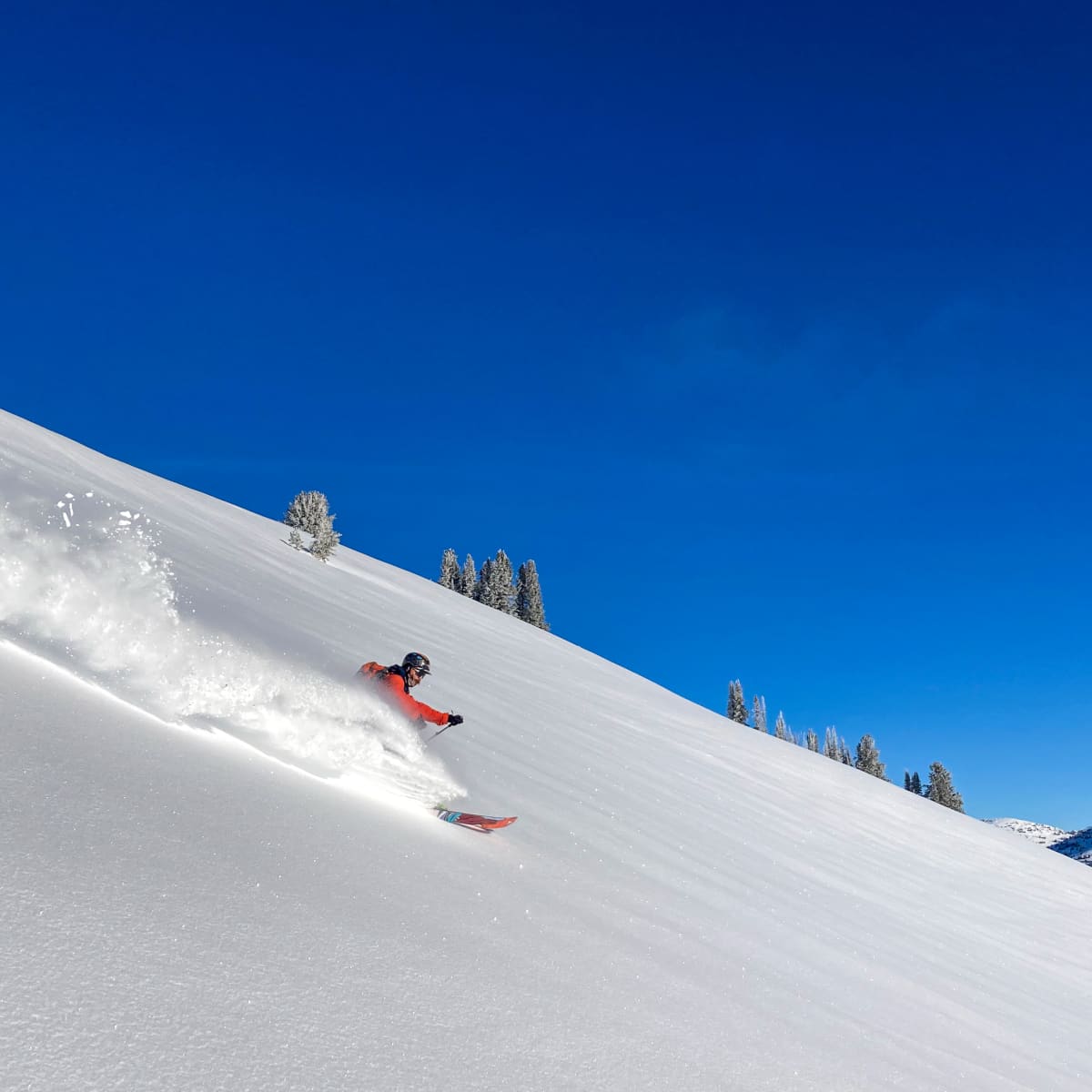 Powder Review: Atomic Bent 110