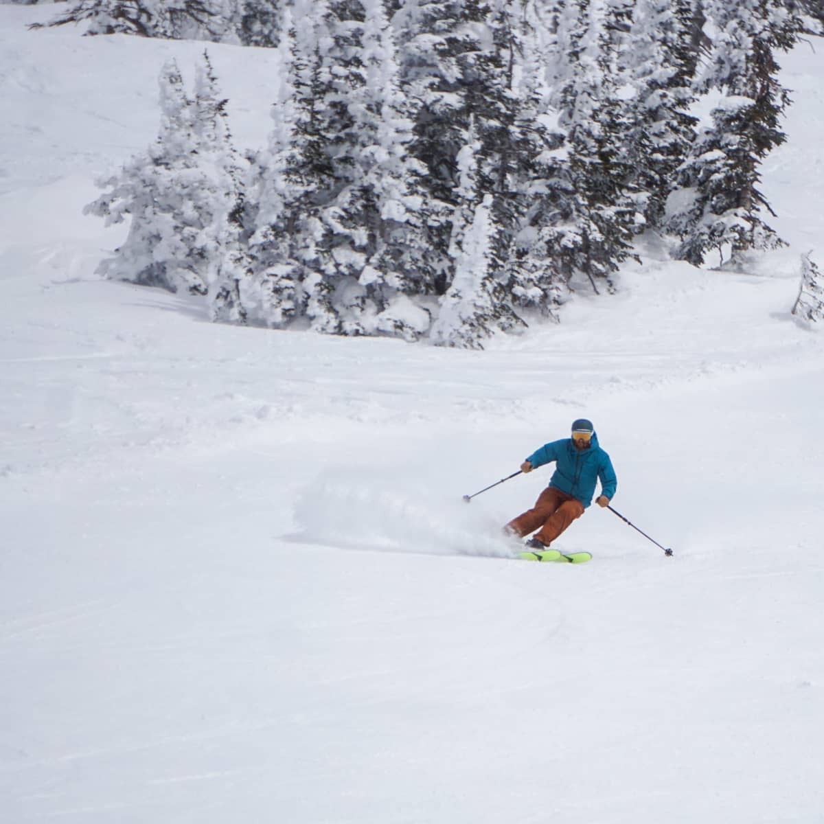 Powder Review Dynastar M Pro 99 Open Powder