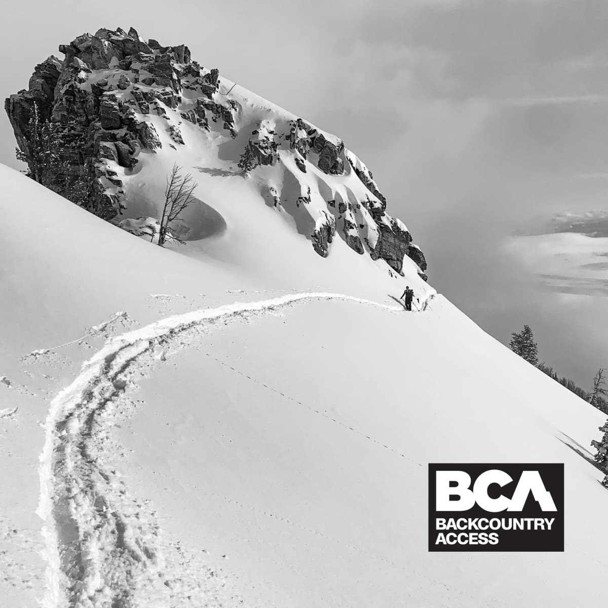 Backcountry Boycott Bca Sale head.hesge.ch