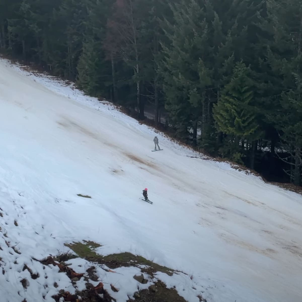 Whistler snow conditions best sale