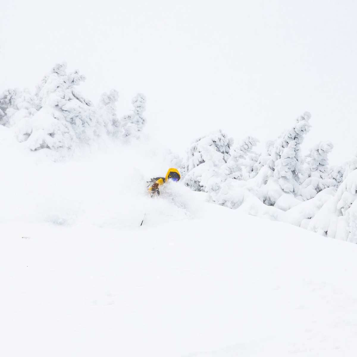 Jay Peak's Snowfall Total Breezes Past 400