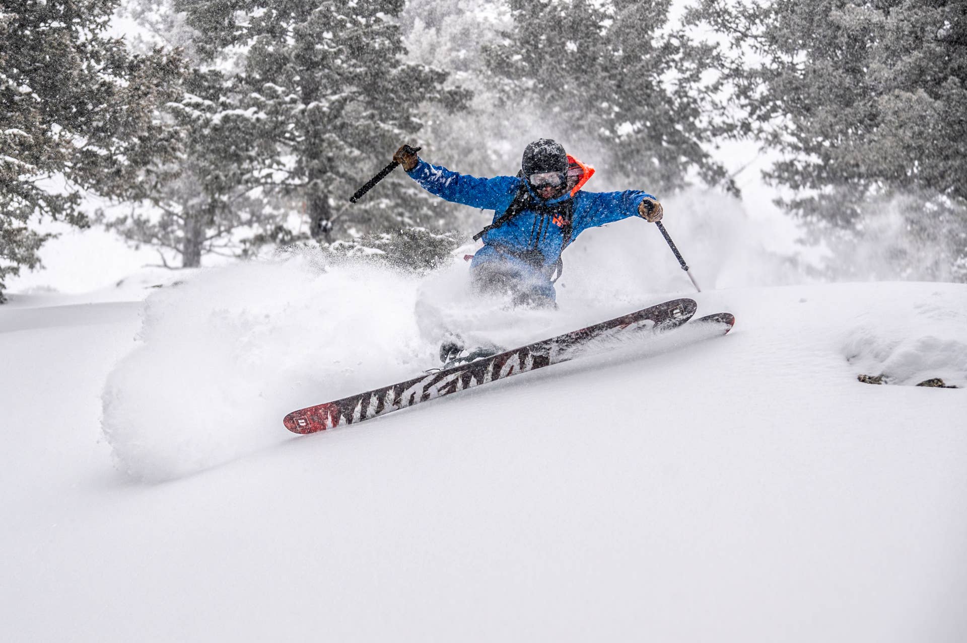 Review: We Tried Sammy Carlson