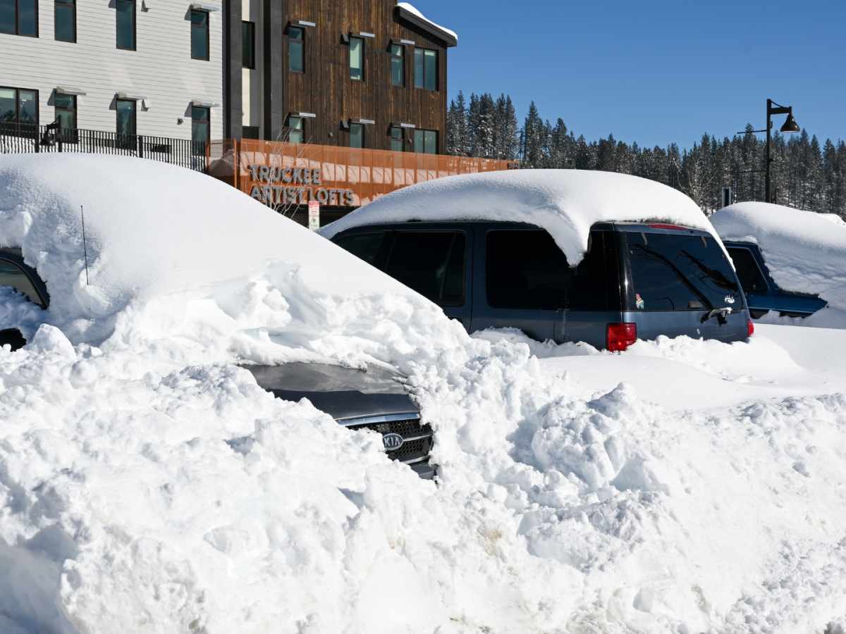 激安本物 Oregon California, Bracing Snow of Inches 80 to up for スノーボード