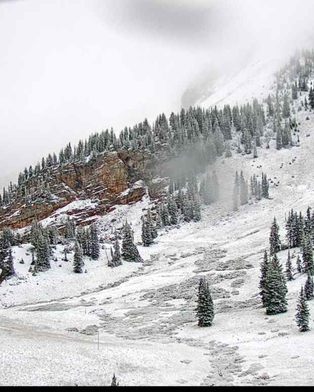 【超お買い得！】 Resort Ski Canadian Banff First Claims Village Sunshine その他