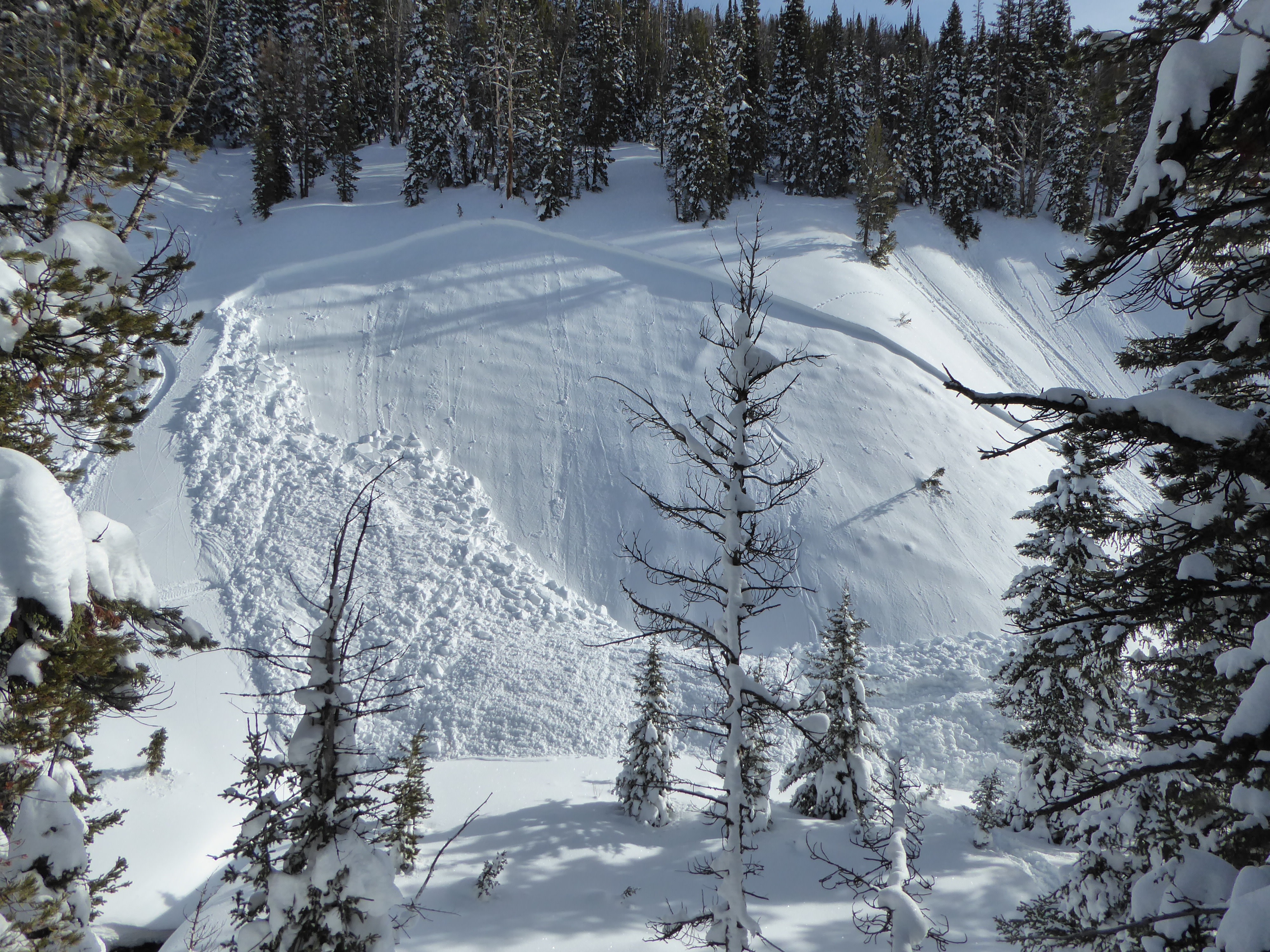 Snowmobiler Dies in Wyoming Backcountry Avalanche - Powder
