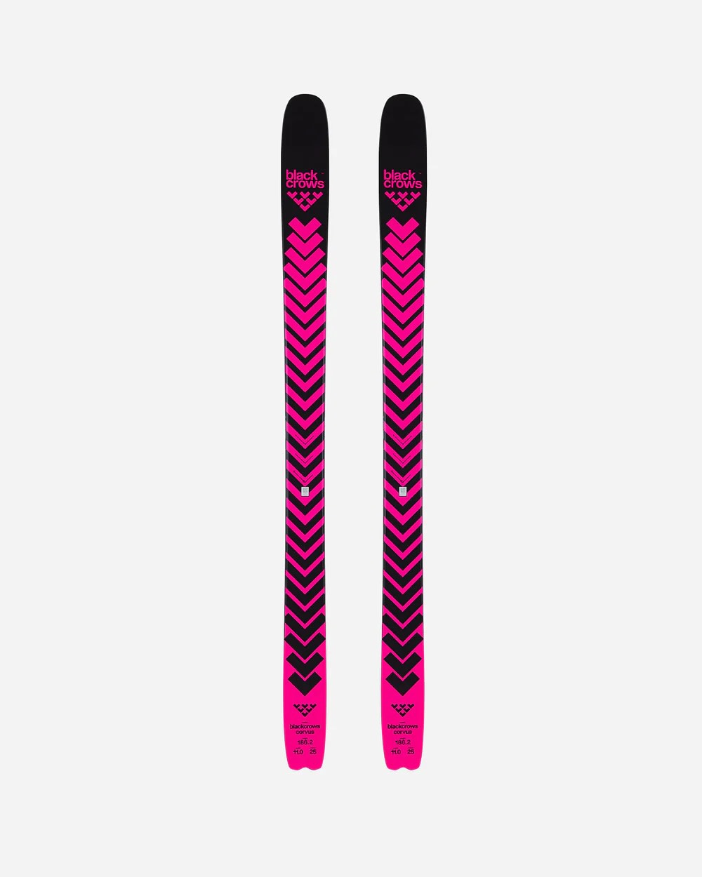 Review: 2026 Blackcrows Corvus Skis - Powder