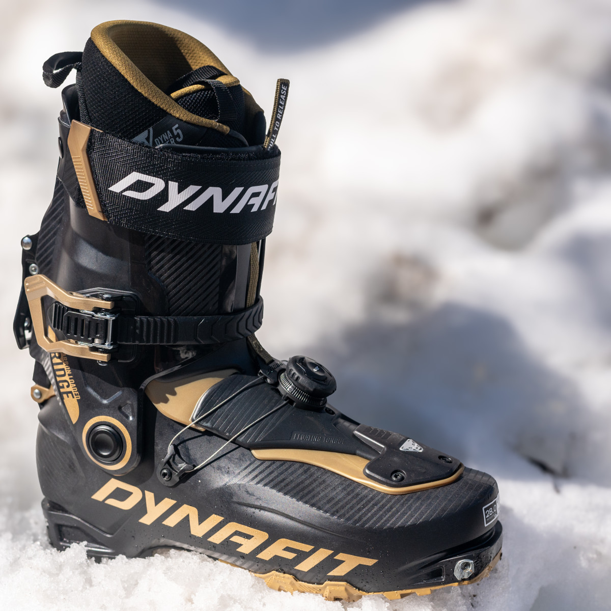 Review: Dynafit Ridge Pro Boot - Powder