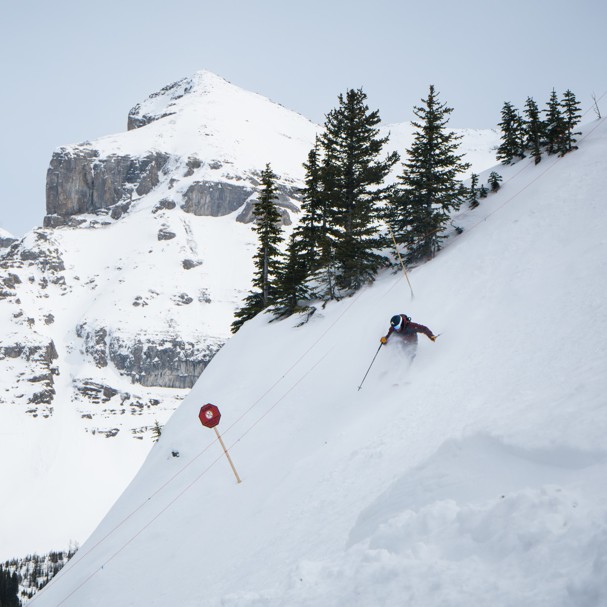 Review: 2026 Blizzard Rustler 11 Skis - Powder