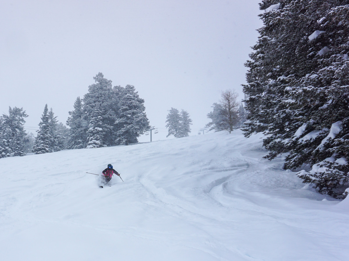 Powder Review: Faction Mana 3 - Powder
