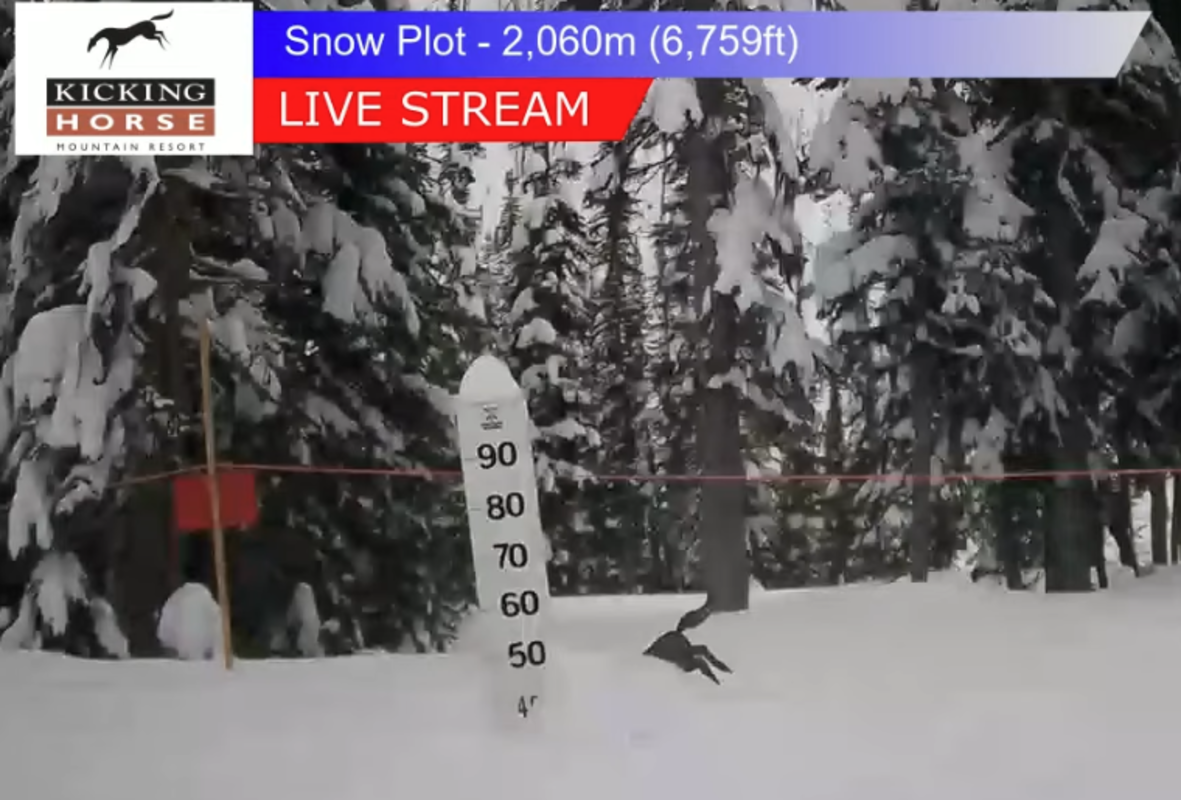 British Columbia Ski Resorts Are Buried, Here's How Much Snow Has Fallen
