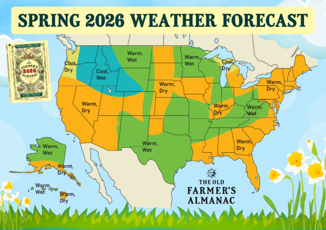 Flowers or Snowdrifts? The Old Farmer's Almanac Reveals Spring 2026 Forecast