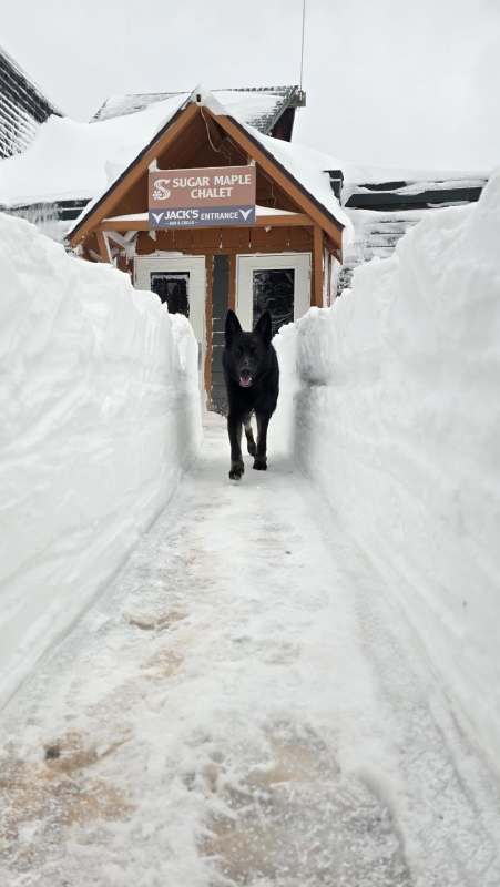 30 Inches of Snow Buries Michigan Ski Area 30 Inches of Snow Buries Michigan Ski Area