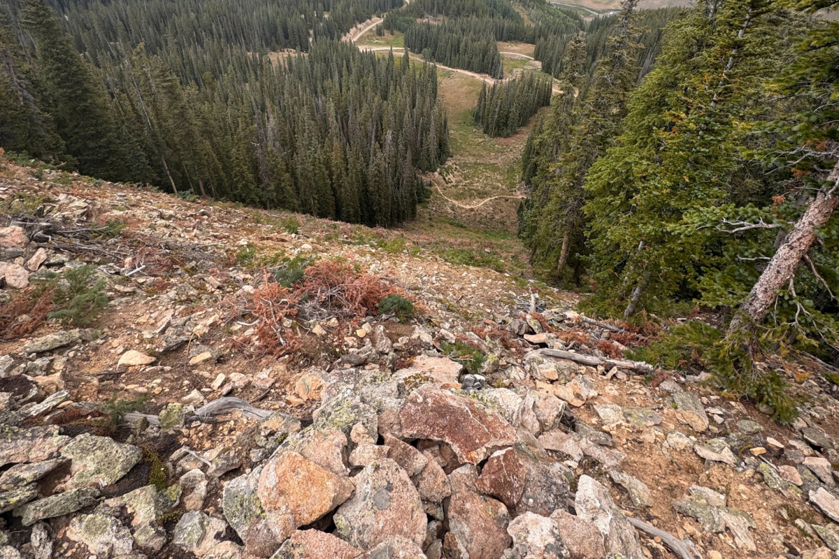 America's Steepest Ski Trail Is Still Terrifying In The Summer
