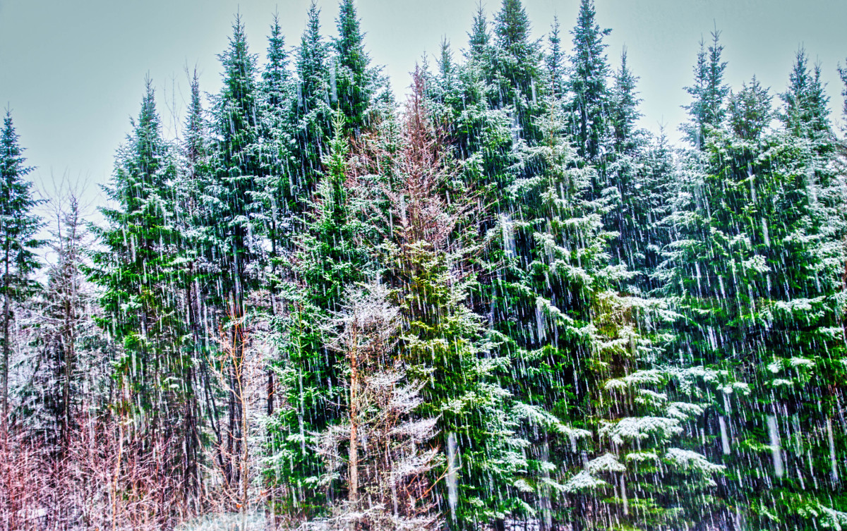 Meteorologist Reveals Dramatic Snowfall Gap Between Vermont and Colorado