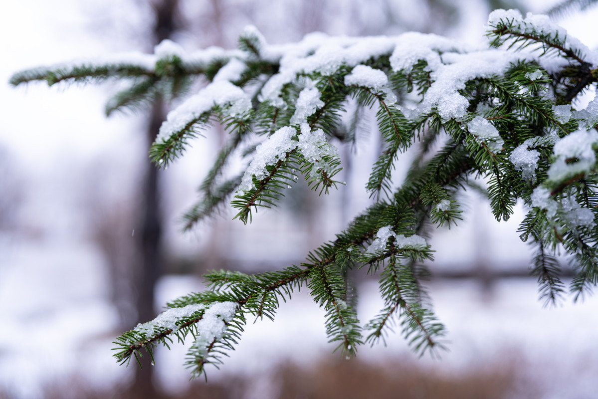 La Niña Wanes, Neutral Conditions Expected To Follow