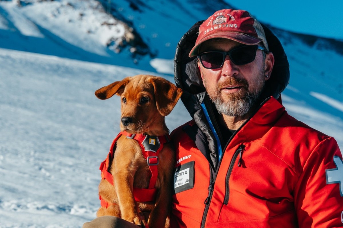 Mammoth’s New Avy Pup Is Taking Instagram by Storm