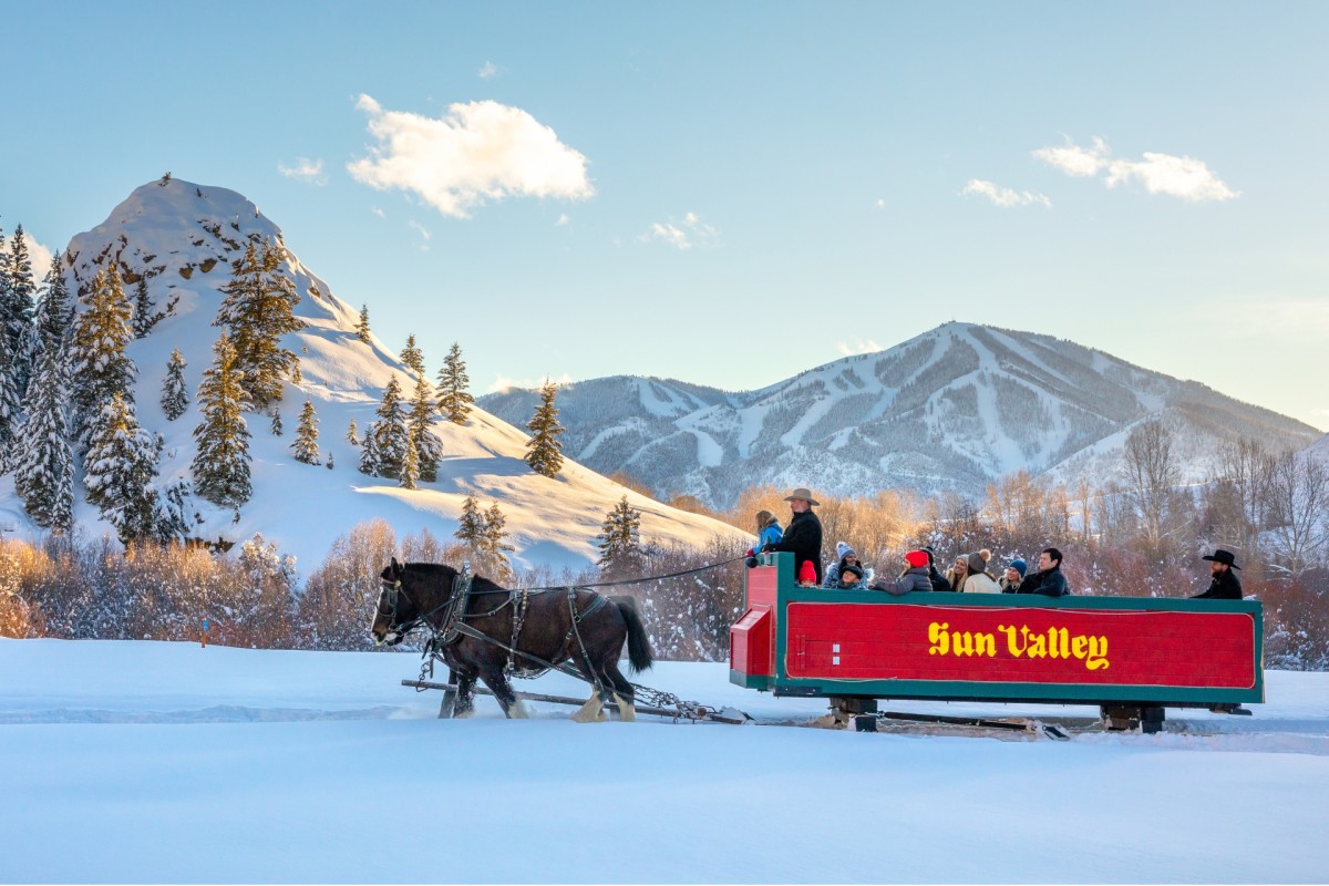 The 10 Best Ski Resort Logos According to POWDER Staff