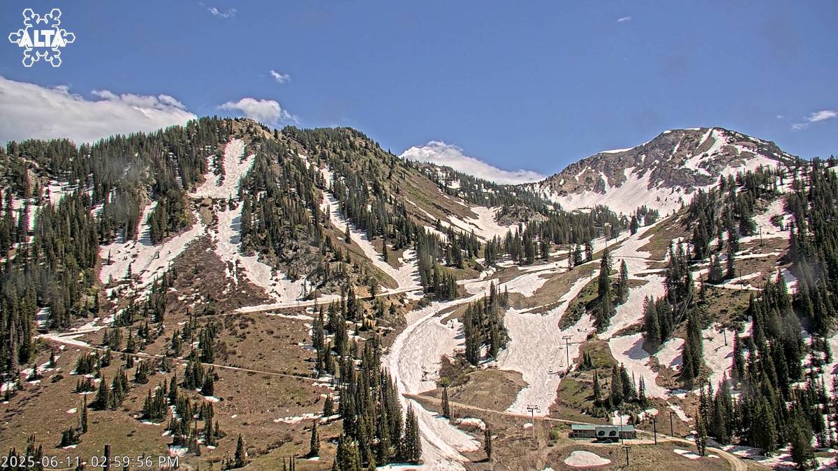 What's Going on at Alta Ski Area This Summer?