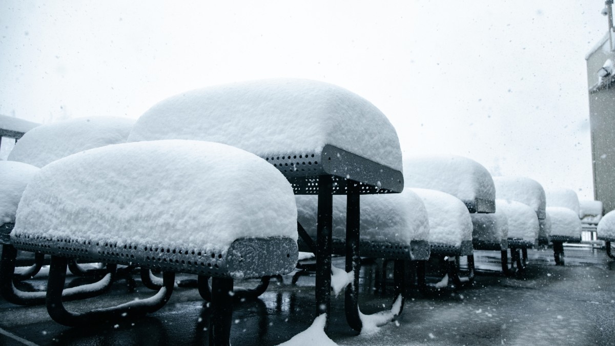 How Much New Snow Counts As a Powder Day? (Poll)