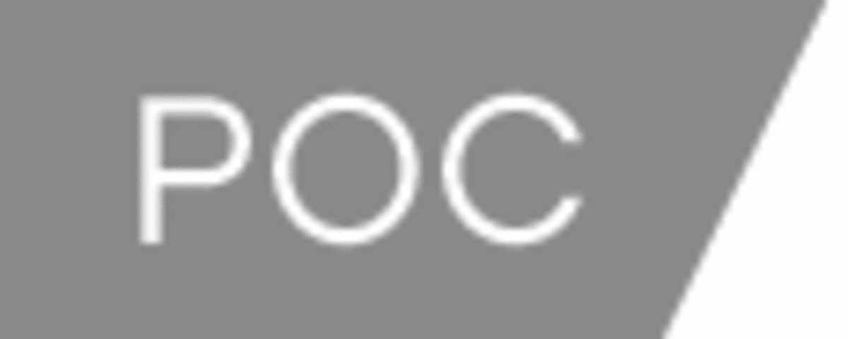 POC Cornea Goggles - 2010/2011 Holiday Gift Guide - POWDER Magazine