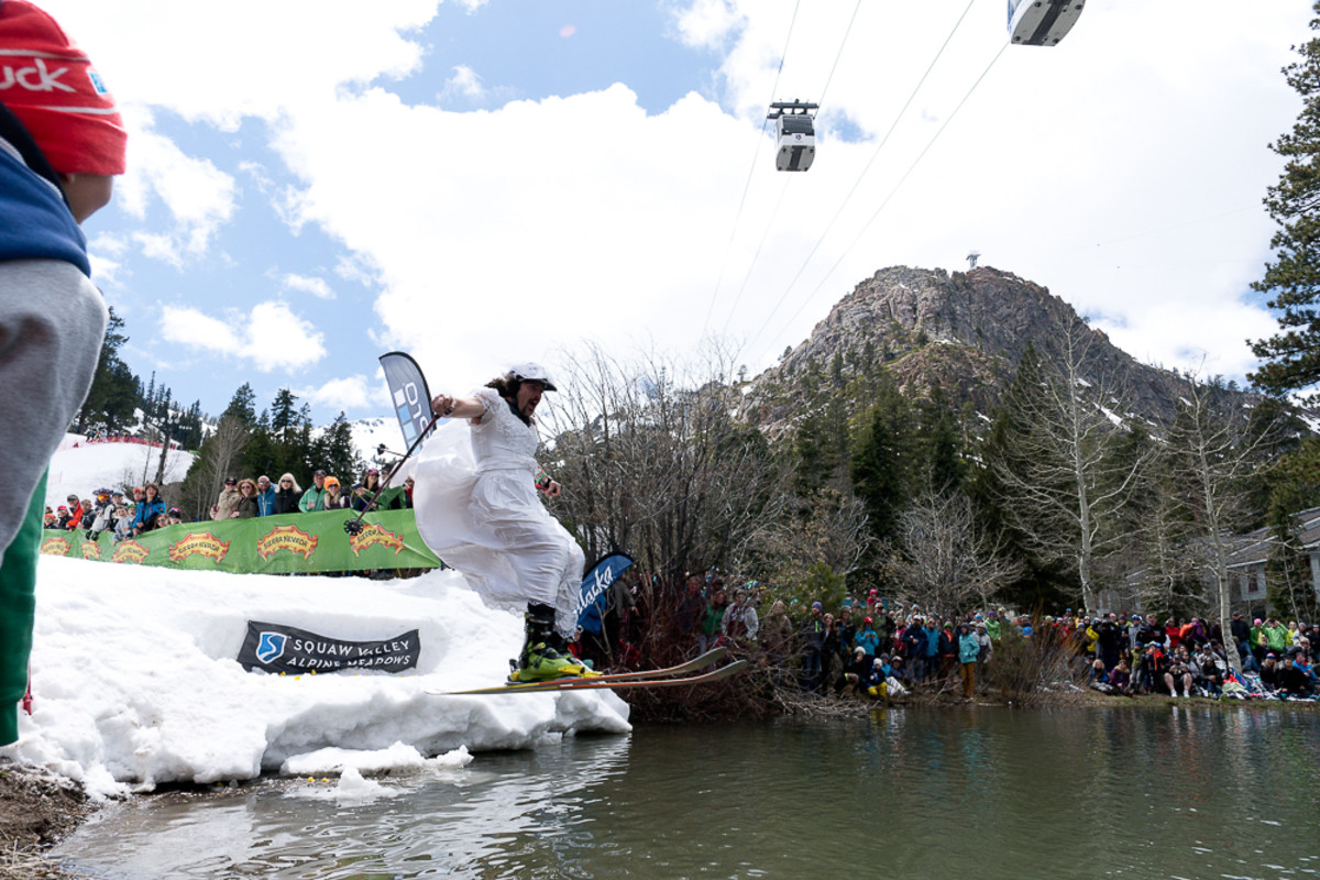 Cold Dog, the Pond Skim Powder