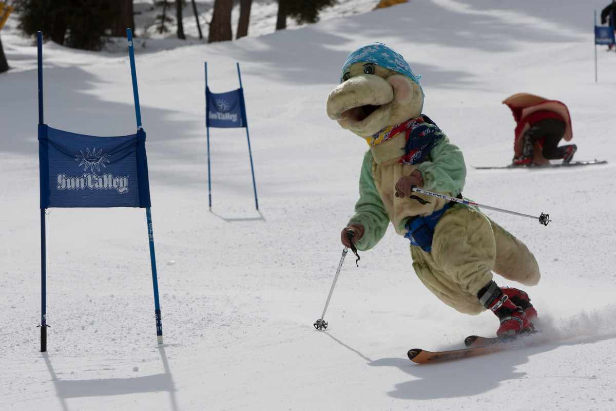 Telemark Skiing Is Dead Powder
