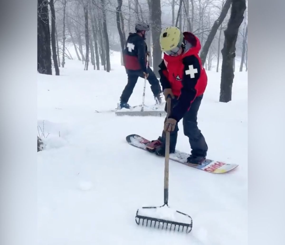 Quid Pro Snow - Ski Area Management