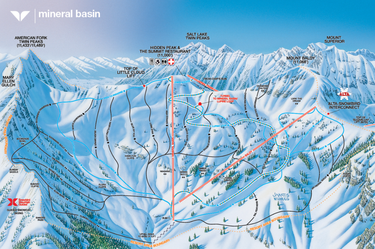 Look Hundreds Of Skiers Crowd Slope For Fresh Powder