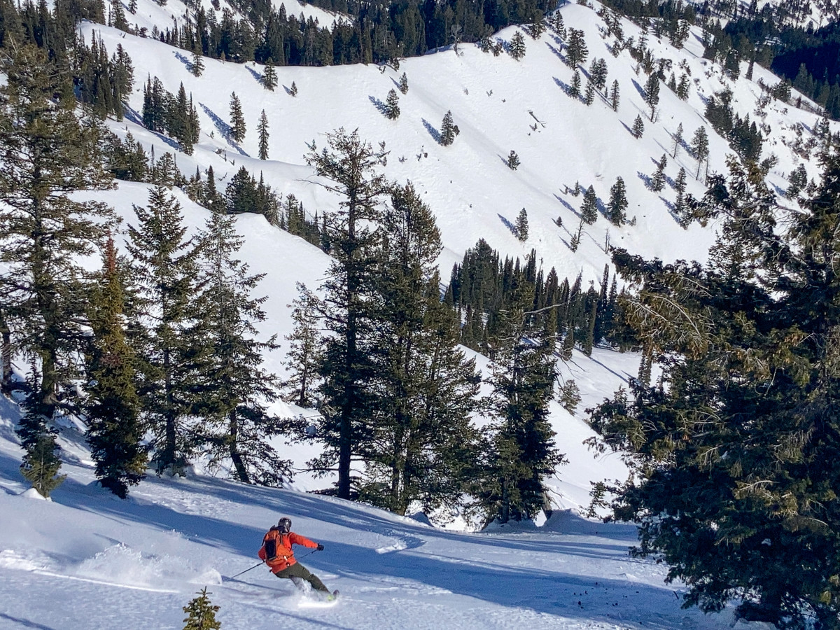 Powder Review: Atomic Bent 110