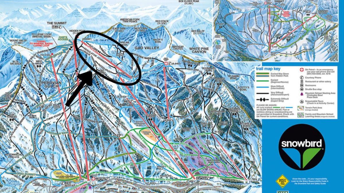 Snowbird Makes Disappointing Decision - Untitled Design 2023 06 15t103303959
