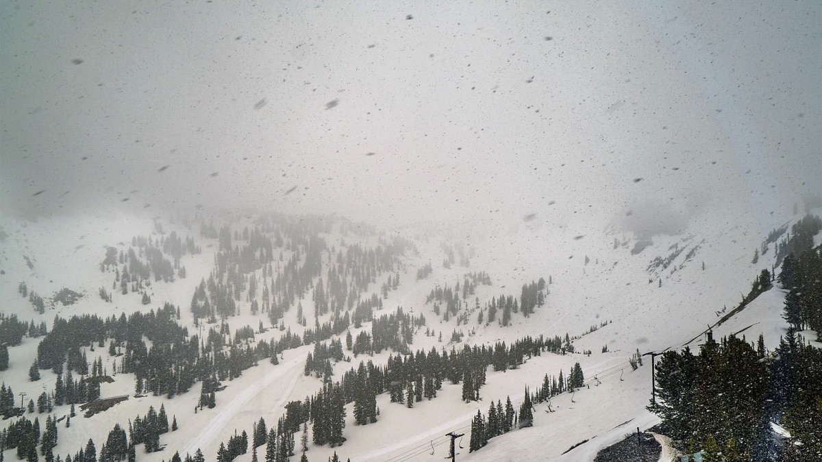 Utah Ski Area Reporting Fresh June Snowfall Powder
