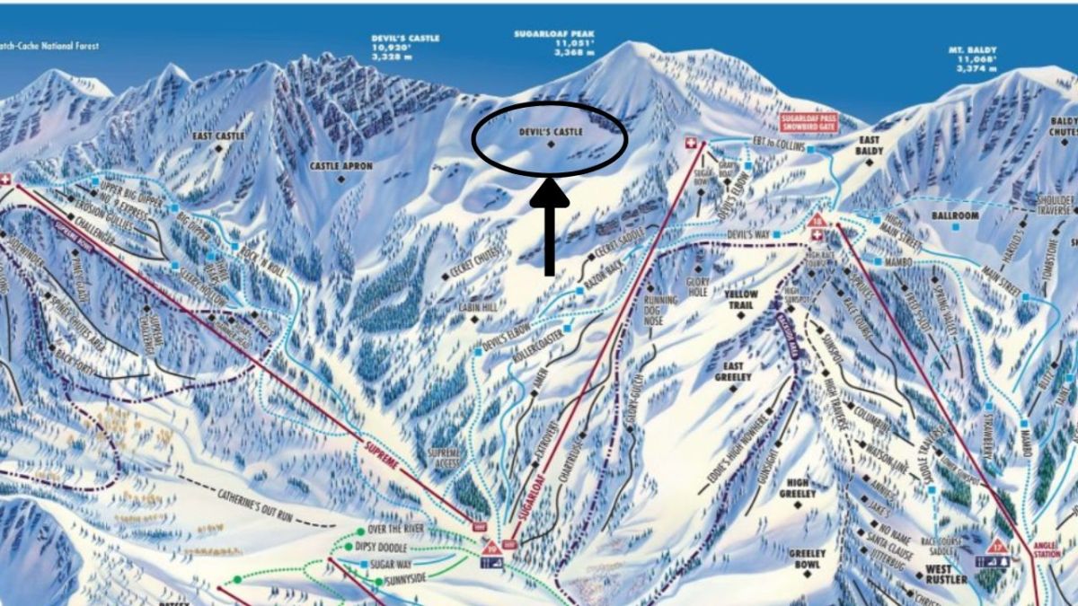 Watch Skiers Measure Feet Of Snow Still Blanketing Alta Ski Area, Utah