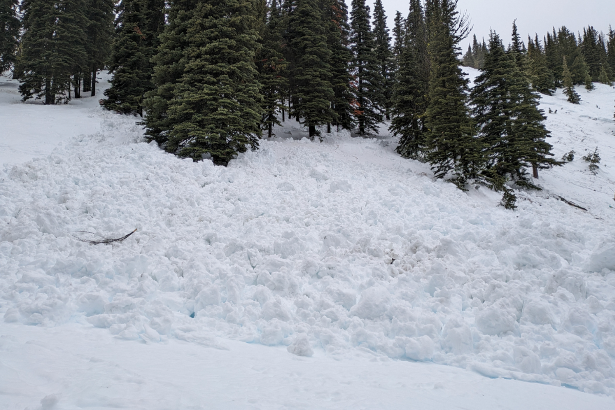 Skiers Caught By InBounds Avalanche At Washington Ski Resort