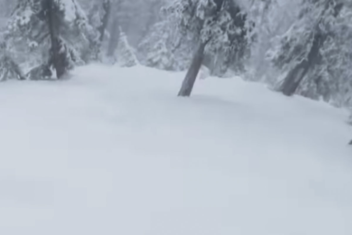 Arizona Snowbowl Is 100 Open At End Of 'Miracle March'