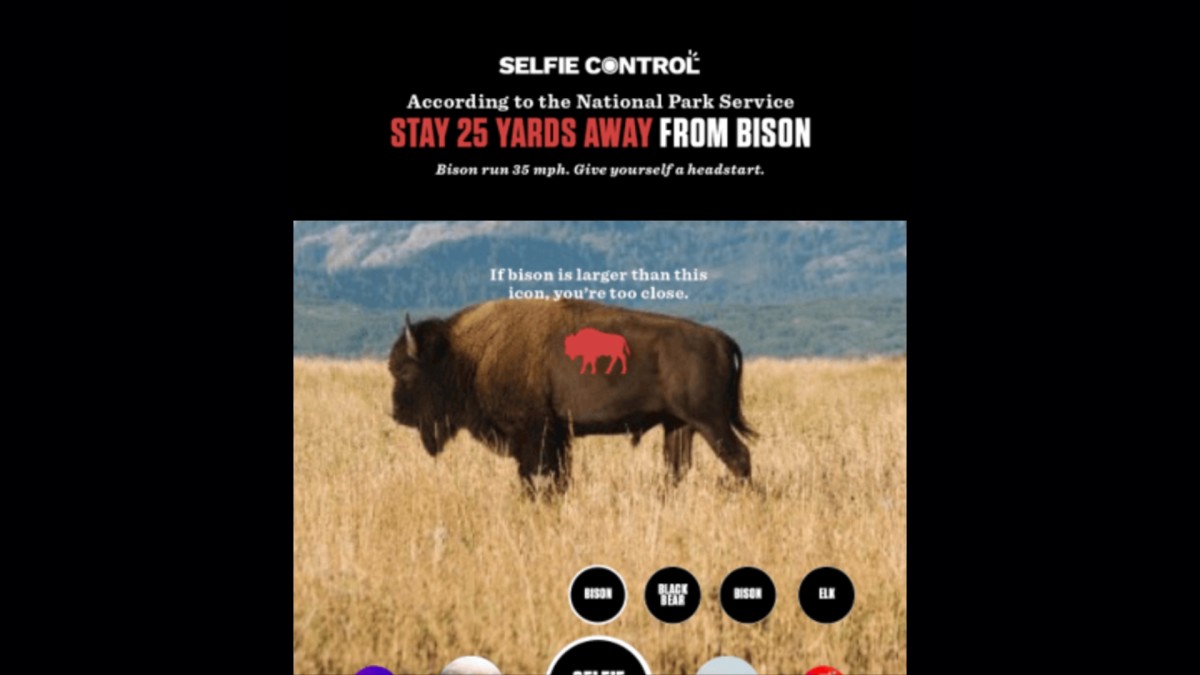Selfie Filter Created To Protect Ignorant Tourists From Wildlife - Powder