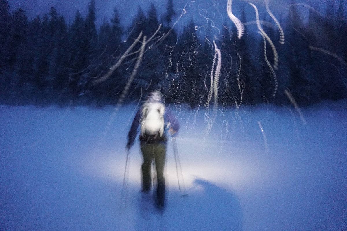 Cheap on sale backcountry skis