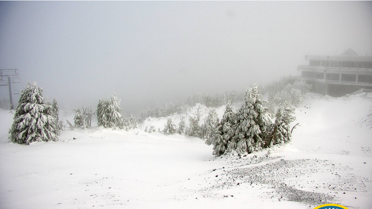 Oregon Ski Resort On Deep Early Season Snow "This Is Not A Drill"