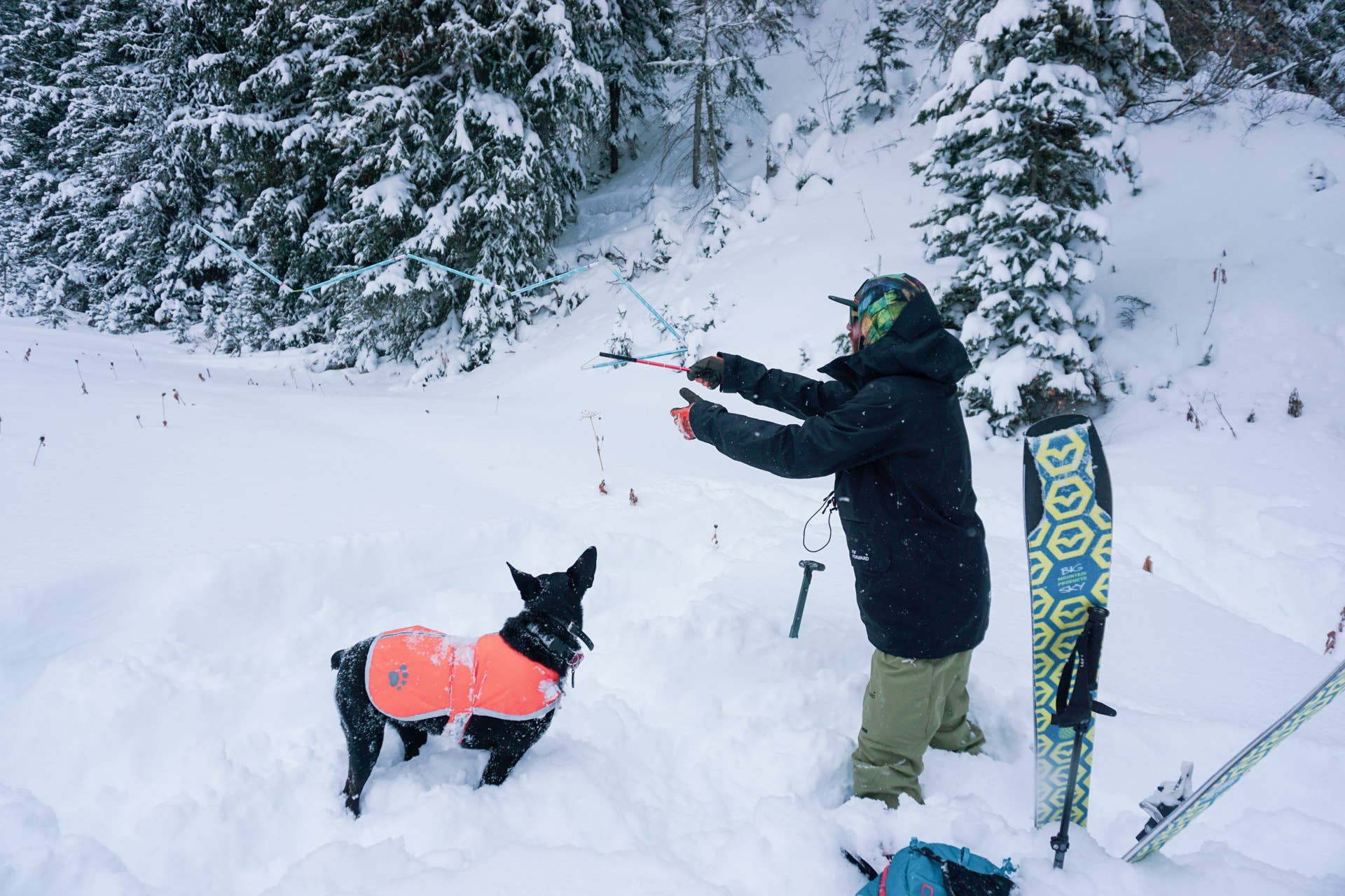 Companion Rescue Practice 101