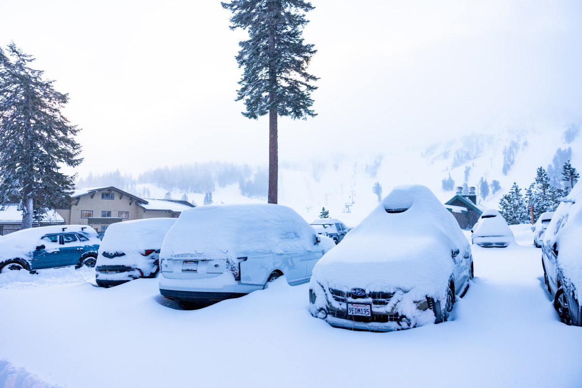 Mammoth Mountain Issues First "Dump Alert" Of The Season After Much