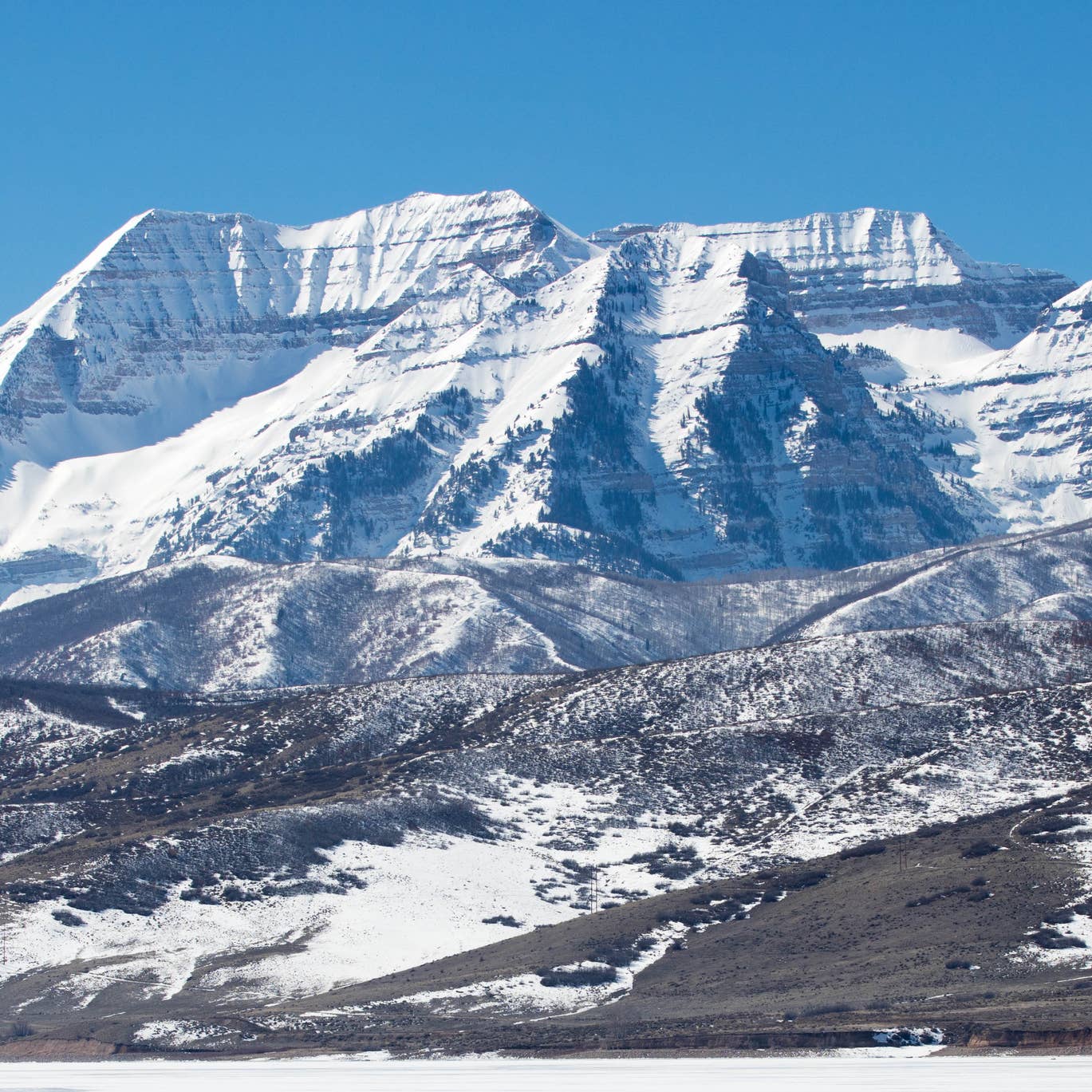 Can Men Use Women's Skis? The Internet Decides - Powder