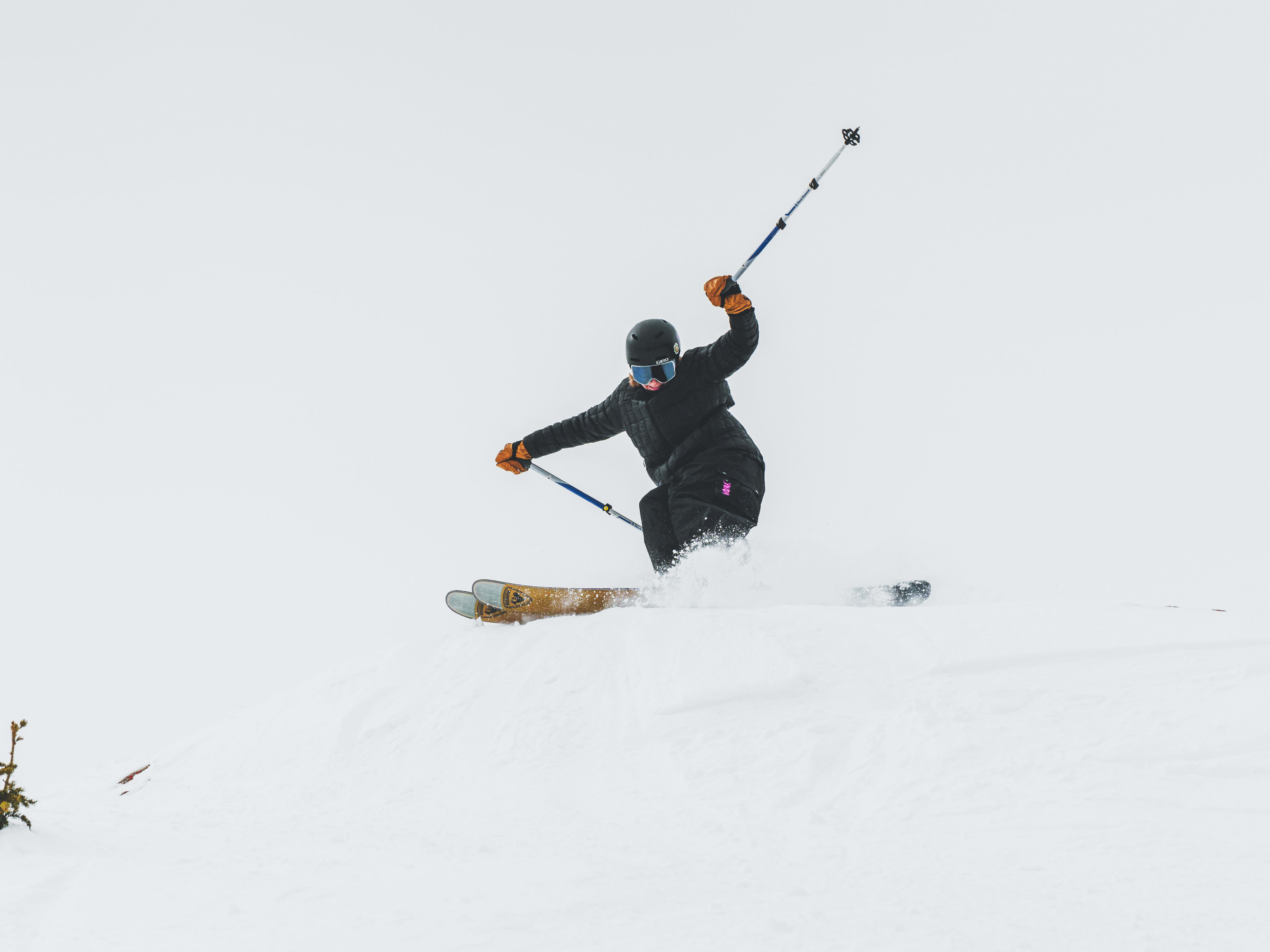 Rossignol Sender Free 118 Skis Review - Powder