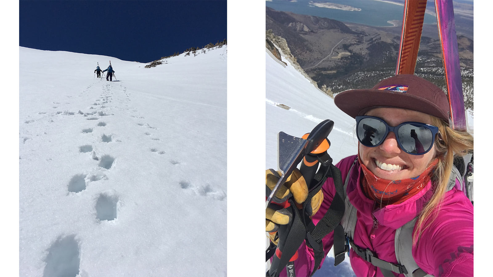 Whippet Good - Powder