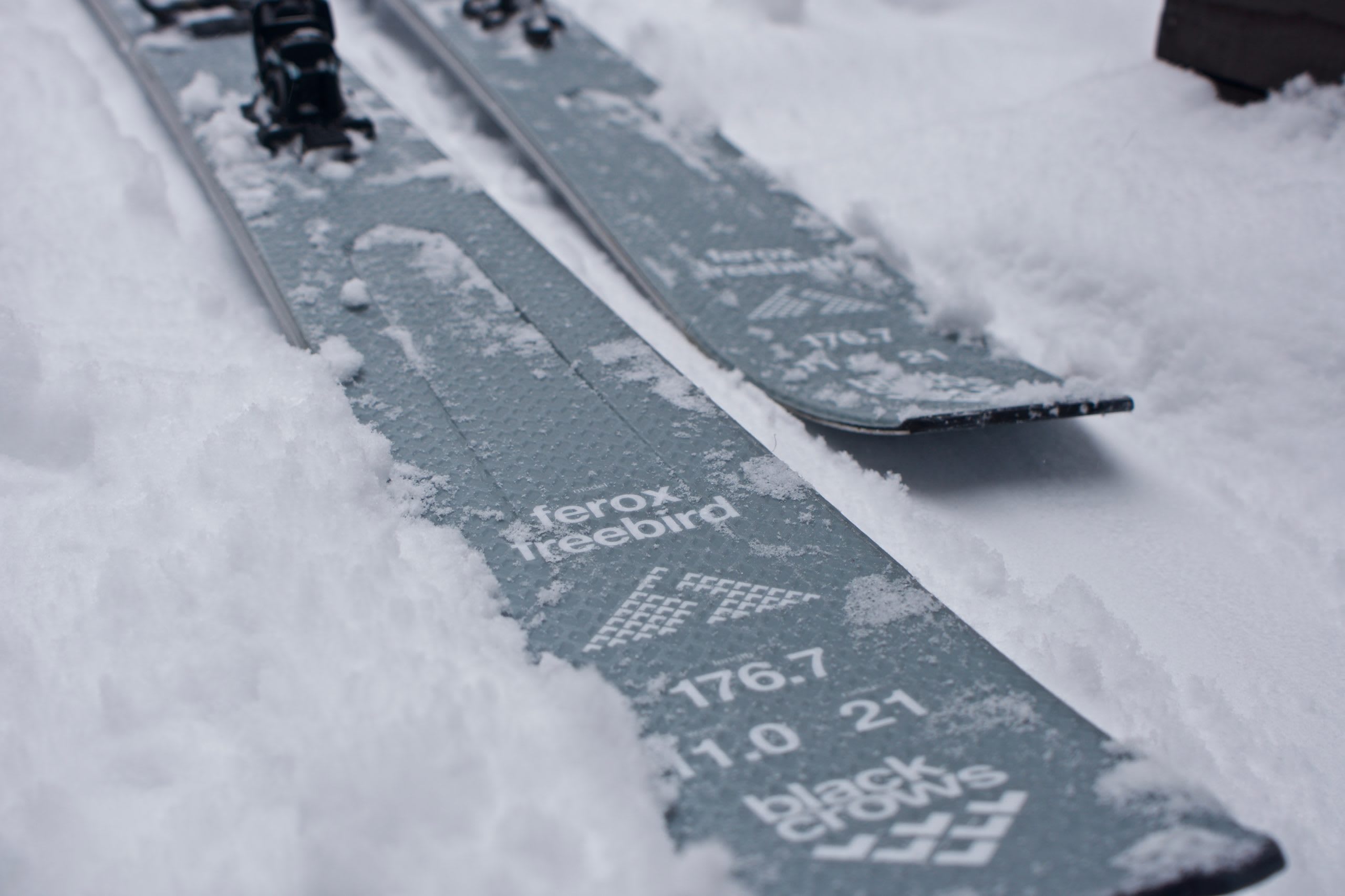 スキー板　Blackcrows Ferox Freebird 186cm Black Crows Ferox Freebird Skis 2023 | evo