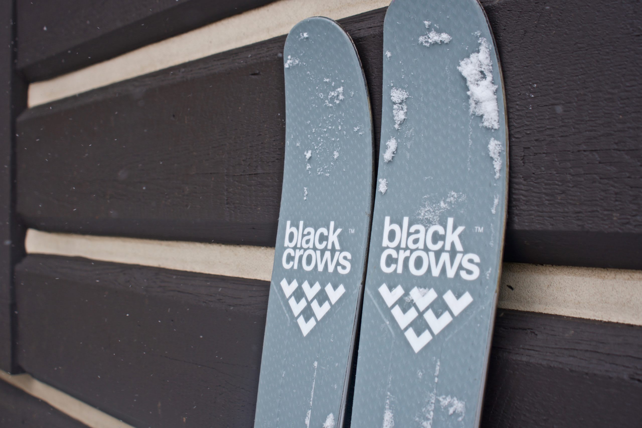 Black Crows' New Ferox Freebird Climbs as Well as It Rips