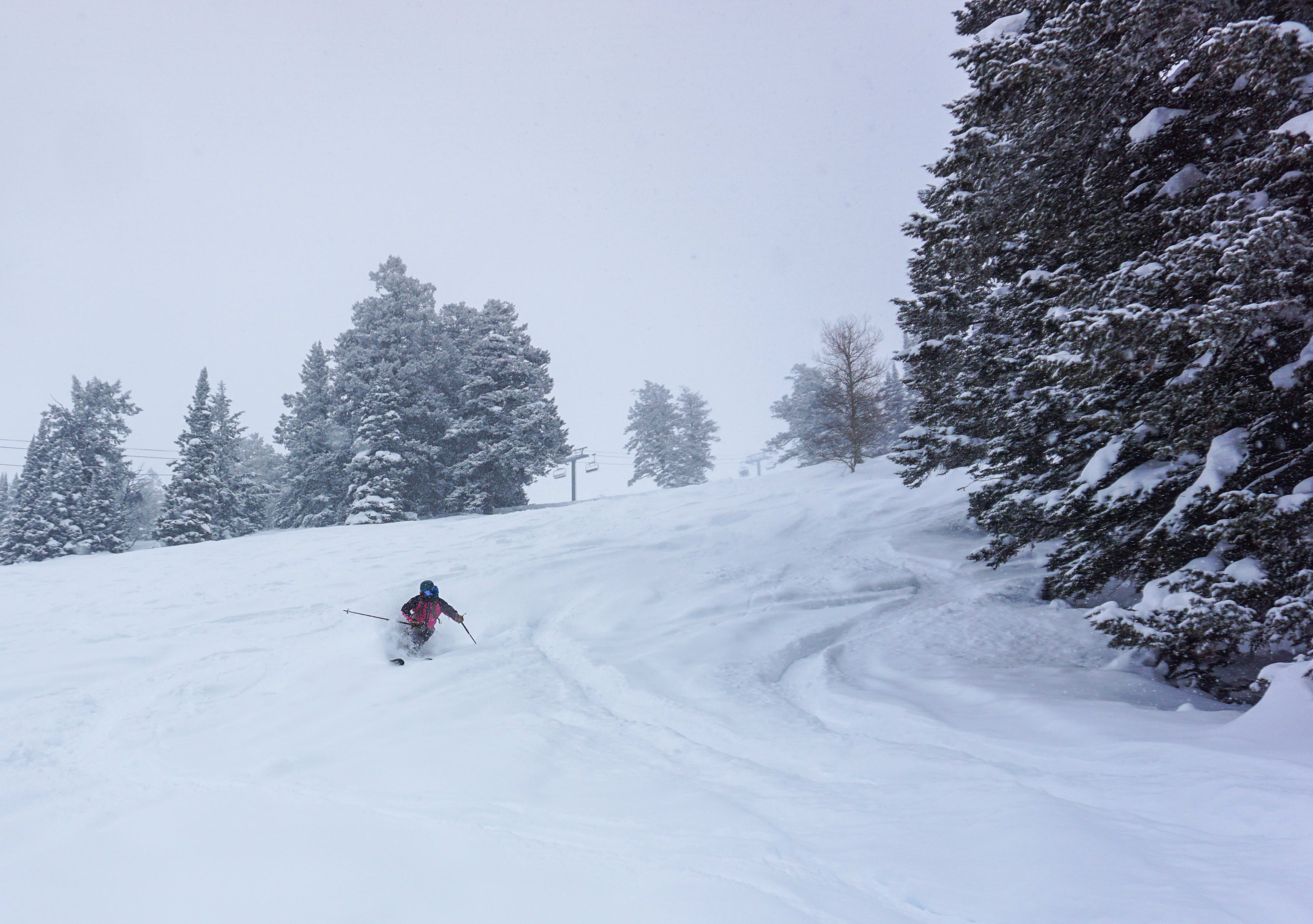 Powder Review: Faction Mana 3 - Powder