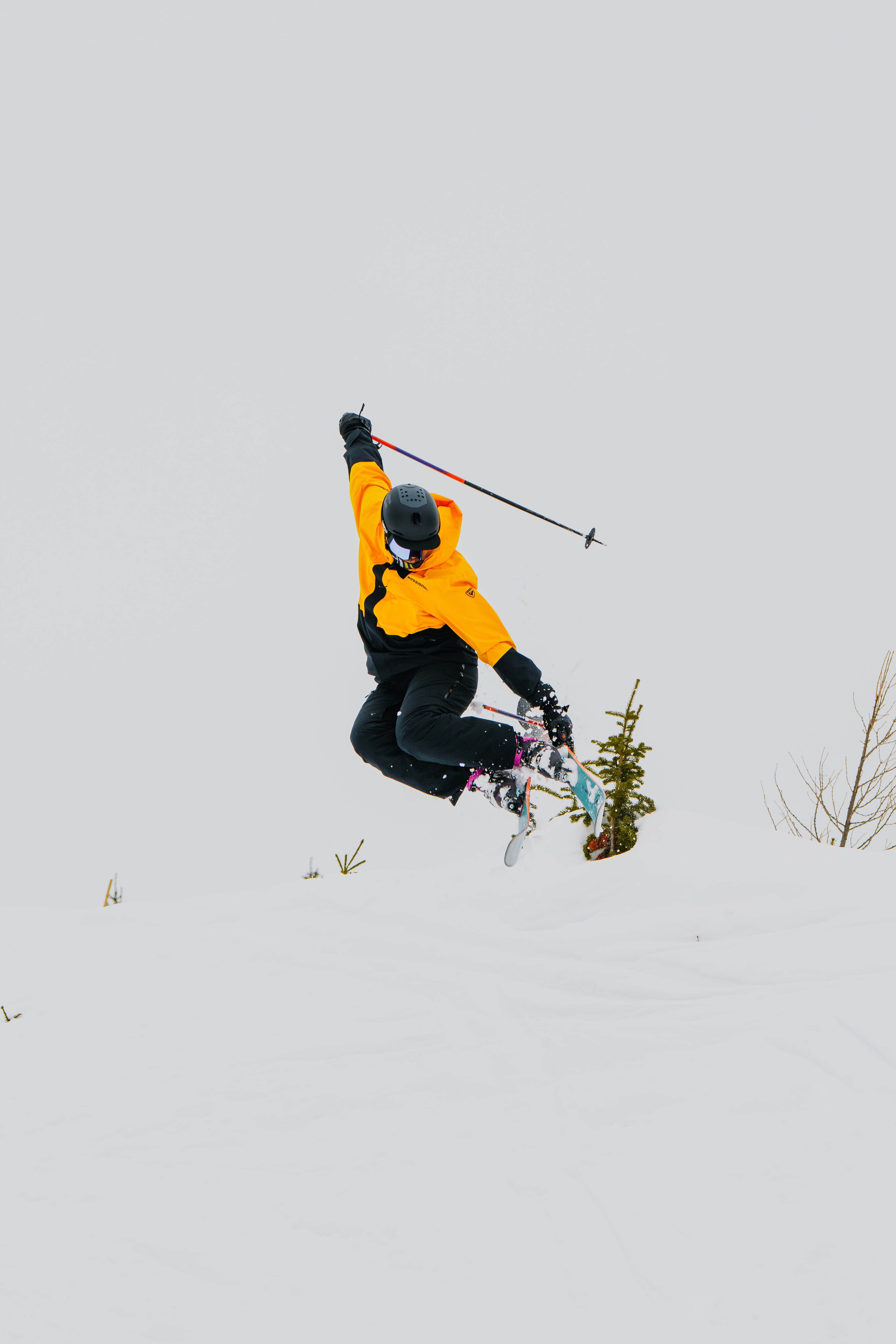 Rossignol Sender Free 110: The Ultimate Freeride Ski? - Powder