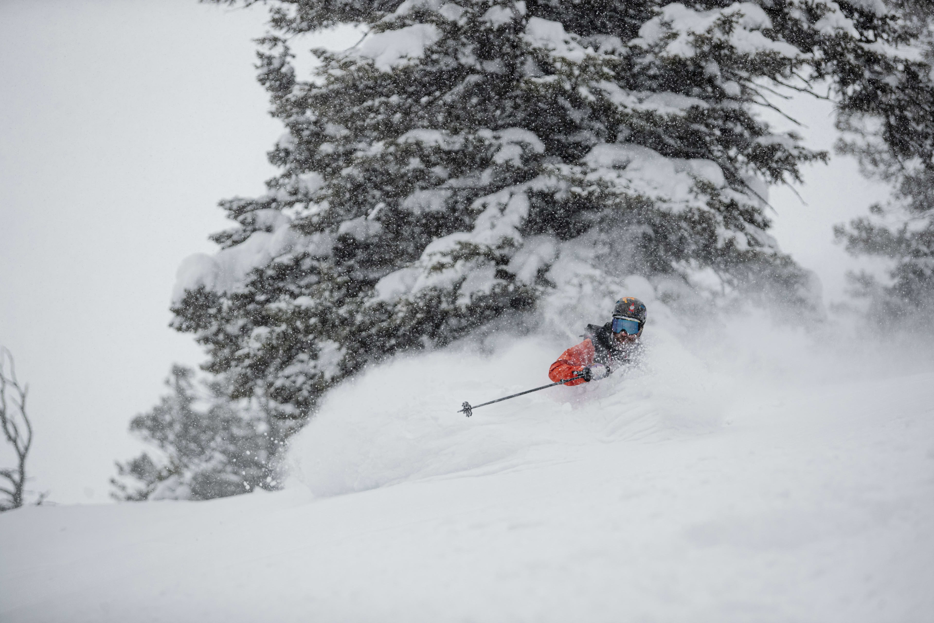 Why I Will Always Love My Moment Ghost Train Skis - Powder